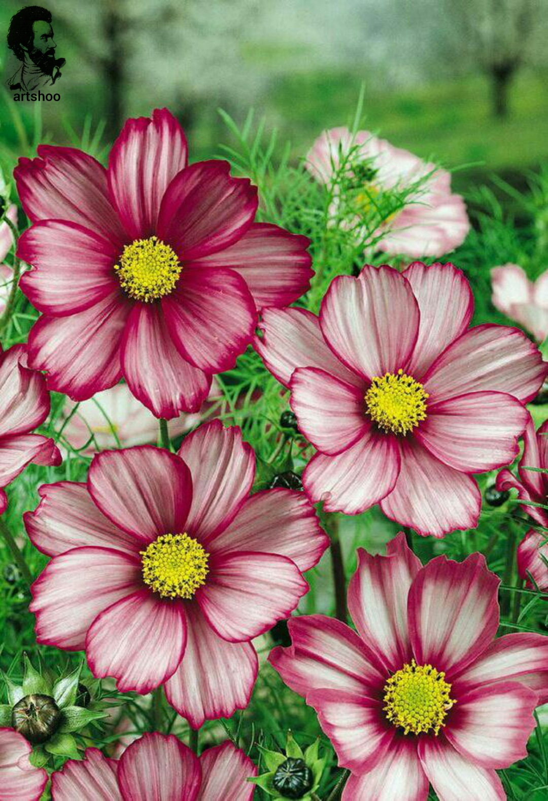 گل اورژینال رنگ روغن